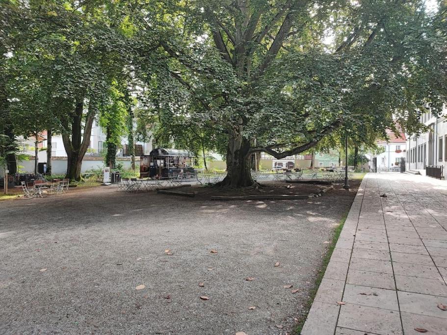 -Stadthaus Ida- Mit Grosser Dachterasse, Am Schlosspark, Luftkurort Kisslegg, Boxspringbetten, Kaffeevollautomat, Smarttv, Familienfreundlich, Grosszuegig, Zentral 外观 照片