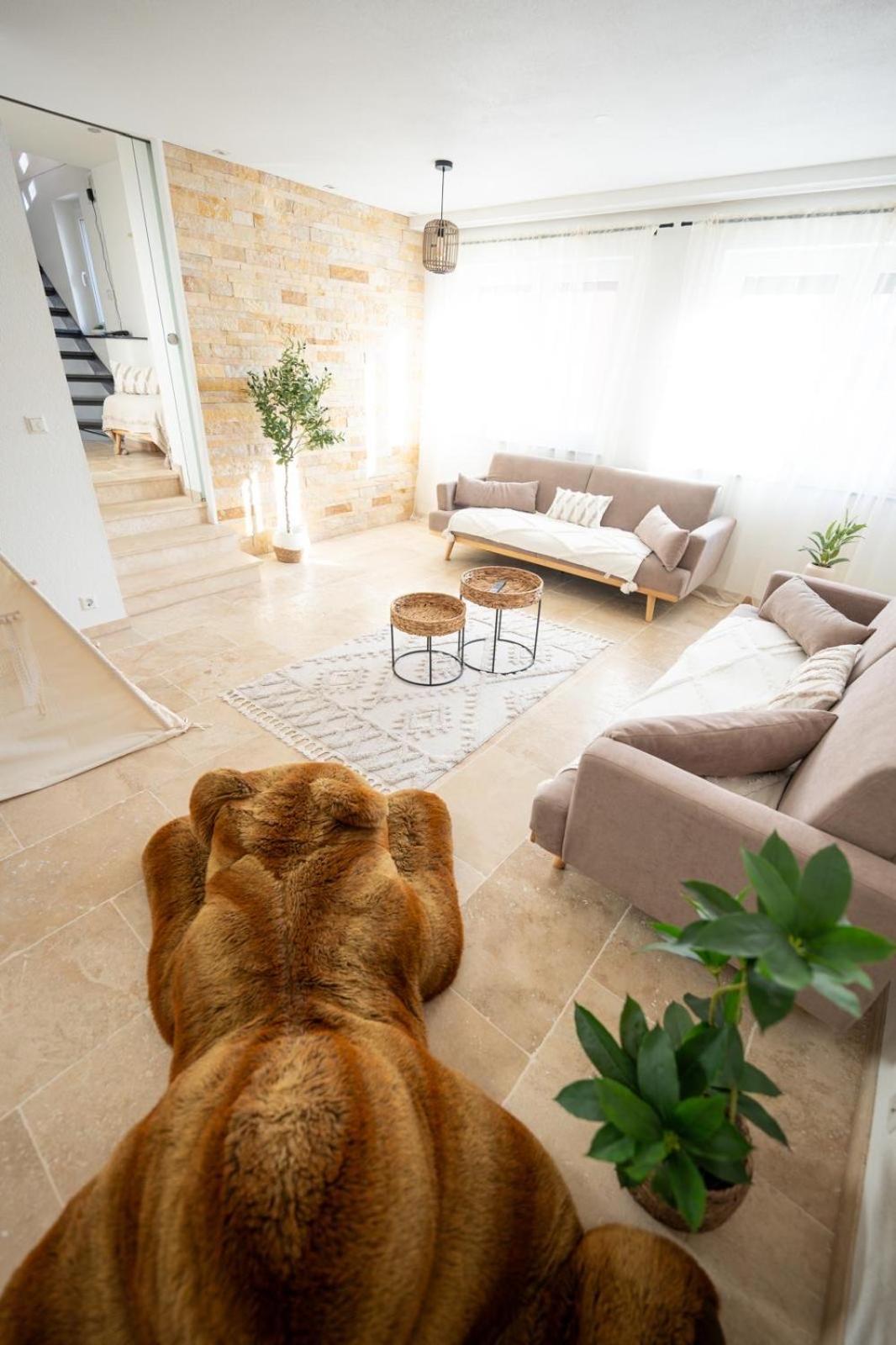 -Stadthaus Ida- Mit Grosser Dachterasse, Am Schlosspark, Luftkurort Kisslegg, Boxspringbetten, Kaffeevollautomat, Smarttv, Familienfreundlich, Grosszuegig, Zentral 外观 照片