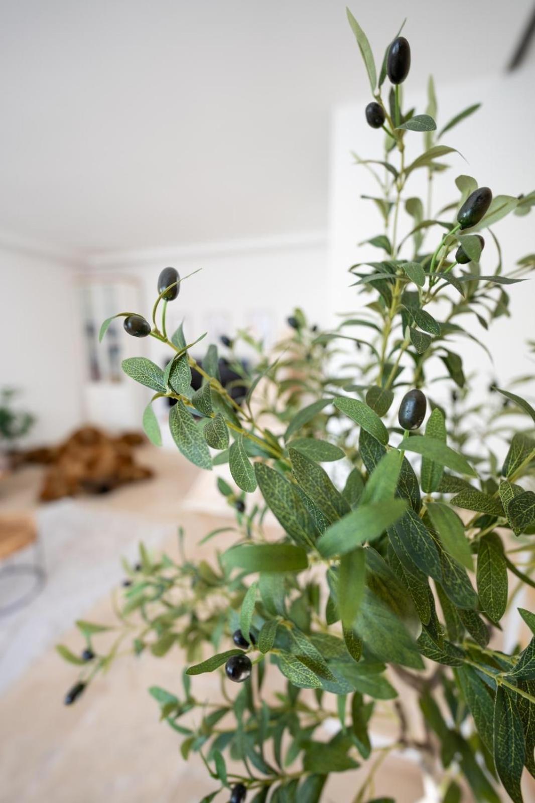 -Stadthaus Ida- Mit Grosser Dachterasse, Am Schlosspark, Luftkurort Kisslegg, Boxspringbetten, Kaffeevollautomat, Smarttv, Familienfreundlich, Grosszuegig, Zentral 外观 照片